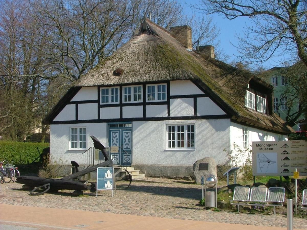 Am Suedhang Goehren (Ruegen)